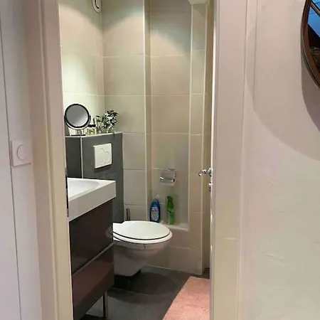Duplex Privatise, Climatise, 2 Apartment Strasbourg