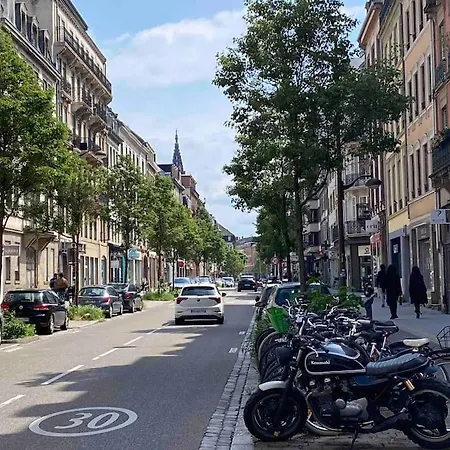 Apartment Duplex Privatise, Climatise, 2 Strasbourg