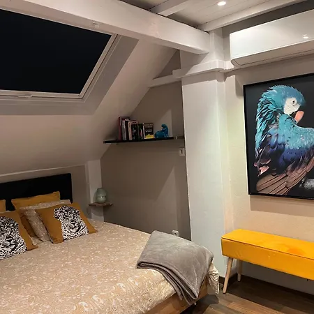 Duplex Privatise, Climatise, 2 Apartment Strasbourg
