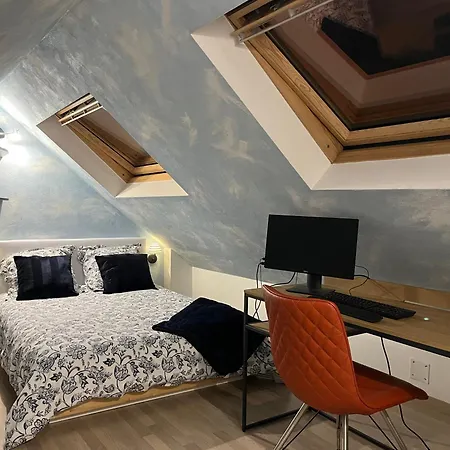Duplex Privatise, Climatise, 2 Apartment Strasbourg