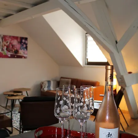 Duplex Privatise, Climatise, 2 Strasbourg