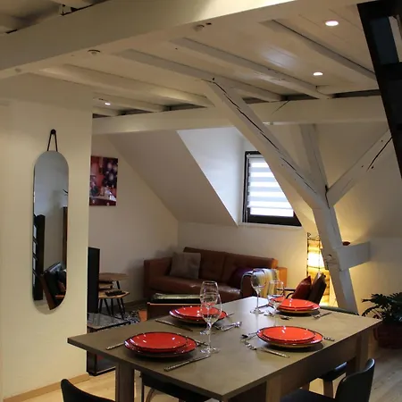 Duplex Privatise, Climatise, 2 * Strasbourg